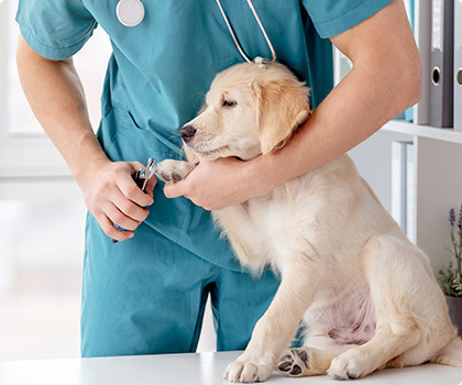 overpass;italic;300;100%;U+0-10FFFF